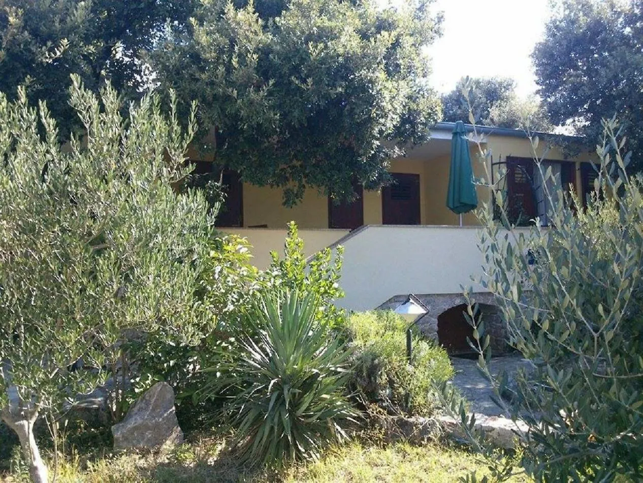 פטרצ'אנה Apartments Mis
